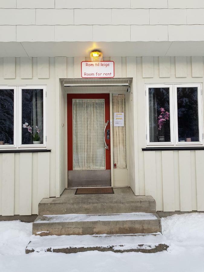 Leilighet I Amotsdal Zewnętrze zdjęcie
