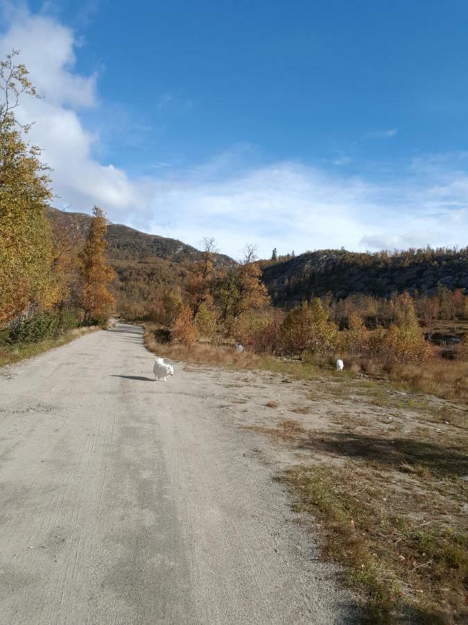 Leilighet I Amotsdal Zewnętrze zdjęcie